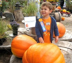 GiantPumpkin