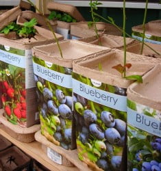 Plant the Earth Bare Root Fruit