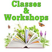 classes-and-workshops