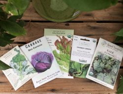 Seed planting for fall crops – Fort Collins Nursery