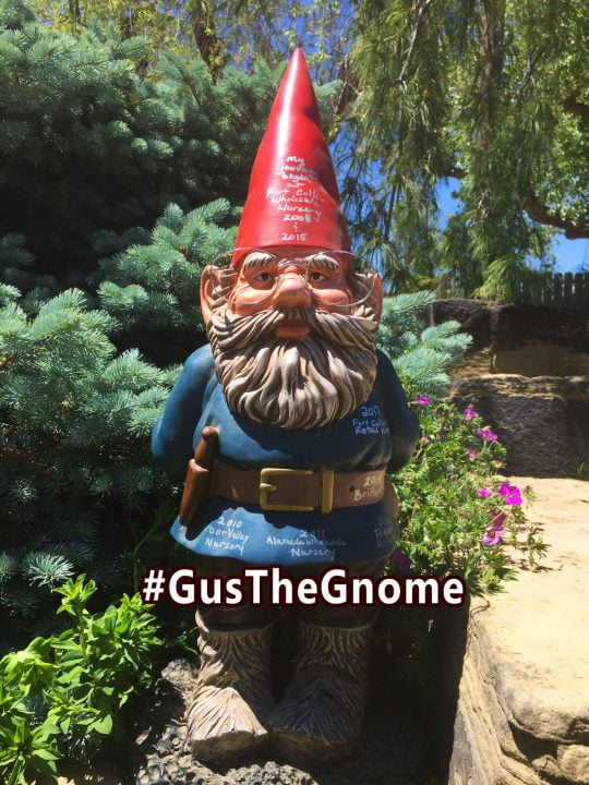 Win prizes from Gus!