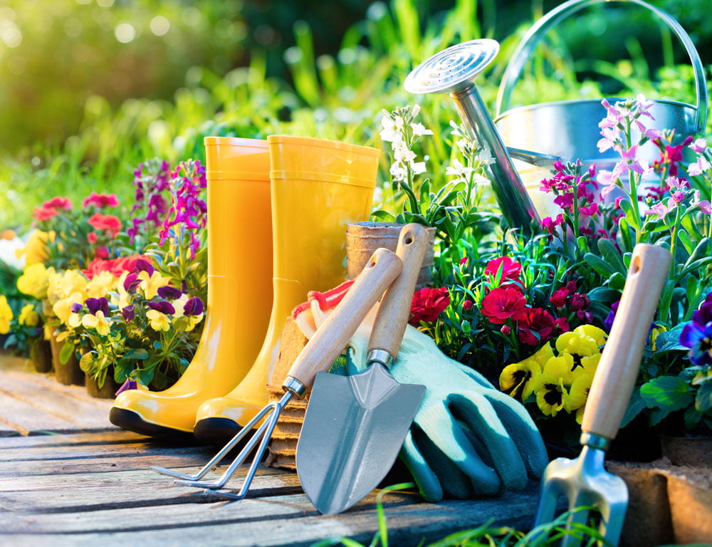 20-tips-to-prepare-for-gardening-success-fort-collins-nursery