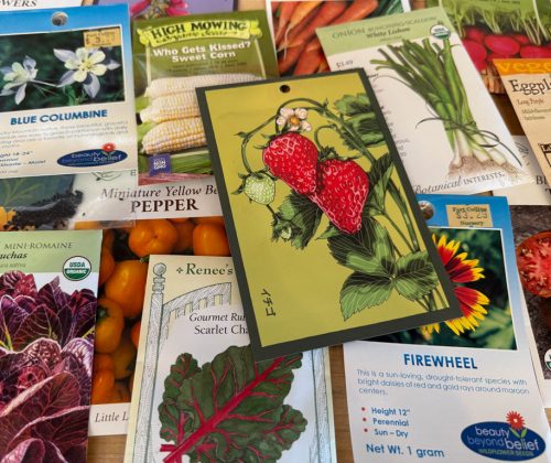 A scattered assortment of colorful seed packets laid out flat, showing illustrations and labels for various vegetables and flowers.