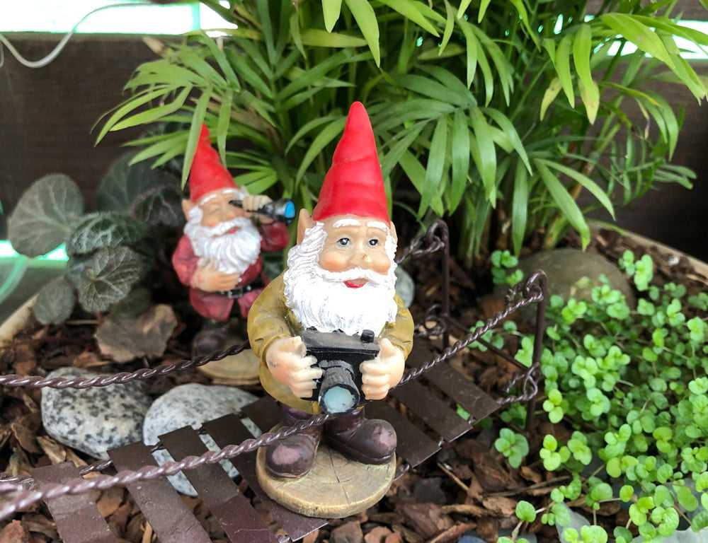 MiniatureGarden_NewSizing_July_2019
