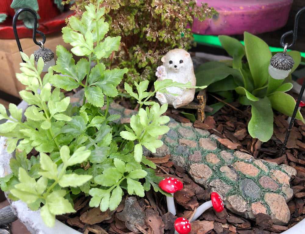 MiniatureGarden_NewSizing_September_2019