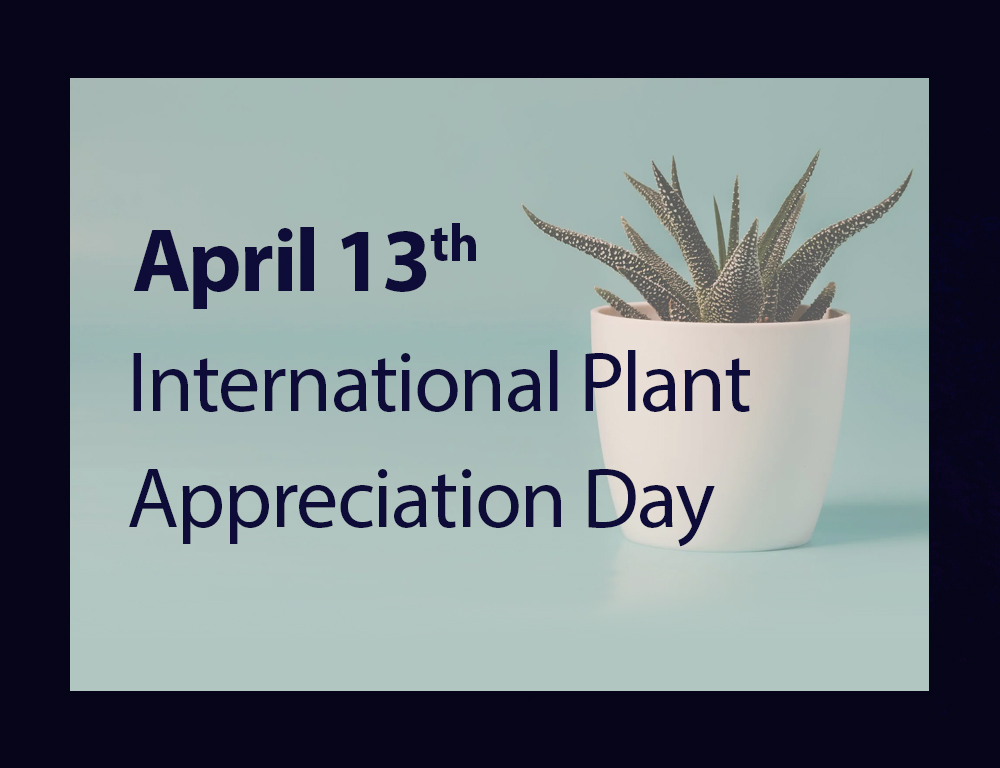 International Plant Appreciation Day Fort Collins Nursery