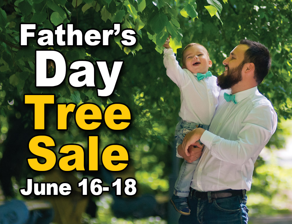 Father's Day Sale