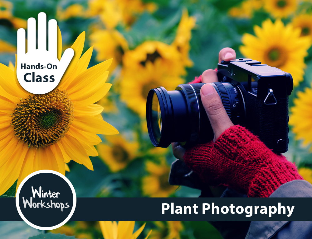 06_Plant-Photography_WW_2026