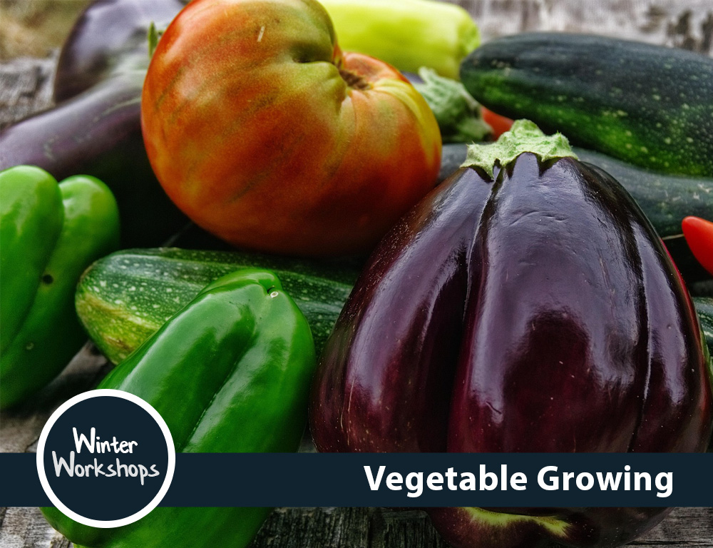 08_Veggie-Gardening_WW_2026-2