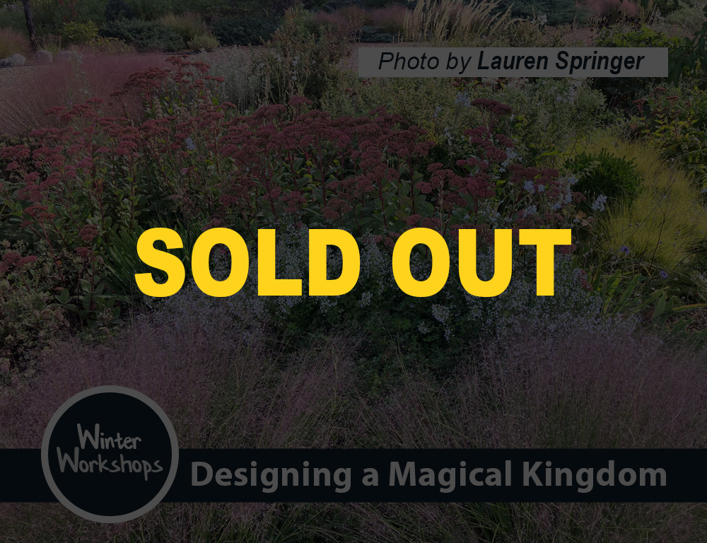 07_SOLD-OUT_Magical-Kingdom_WW_2026