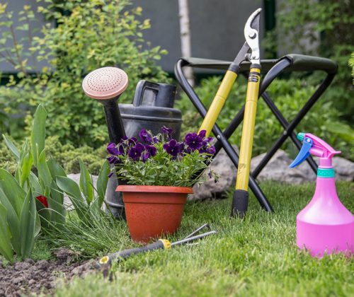 The image shows a collection of spring gardening tools and supplies staged in a grassy garden bed: a watering can, a small potted purple flowering plant, a pair of yellow-handled pruning shears, a folding garden stool, a hand trowel, and a bright pink spray bottle. The scene suggests prepping for spring cleanup and planting tasks in a yard or flower bed.